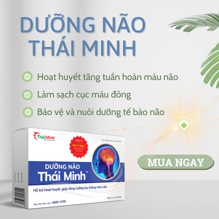 Dưỡng não Thái Minh là thuốc hay Thực phẩm chức năng? 2