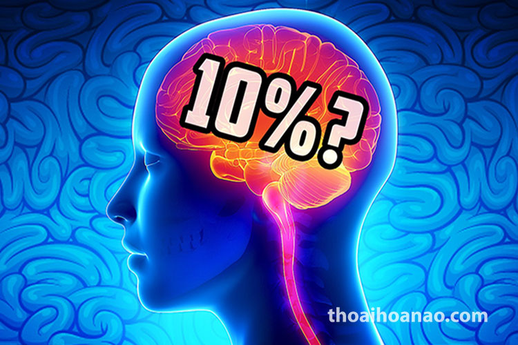 Con người chỉ sử dụng 10% não bộ? 1