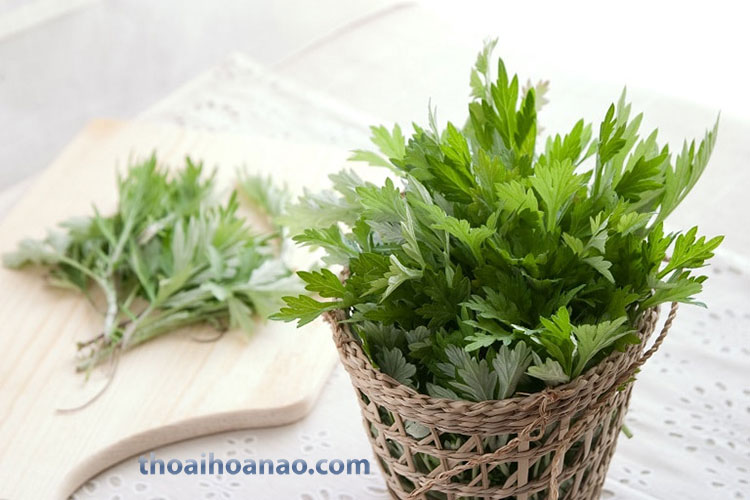 Bài thuốc số 1: Chữa đau nửa đầu bằng lá ngải cứu 1 Bài thuốc số 1: Chữa đau nửa đầu bằng lá ngải cứu 1