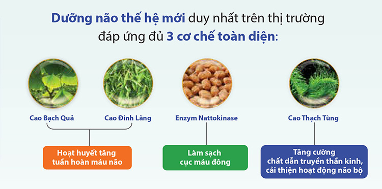 4. Dưỡng Não Thái Minh - Hỗ trợ giảm thiểu đau đầu nhanh chóng 1 4. Dưỡng Não Thái Minh - Hỗ trợ giảm thiểu đau đầu nhanh chóng 1