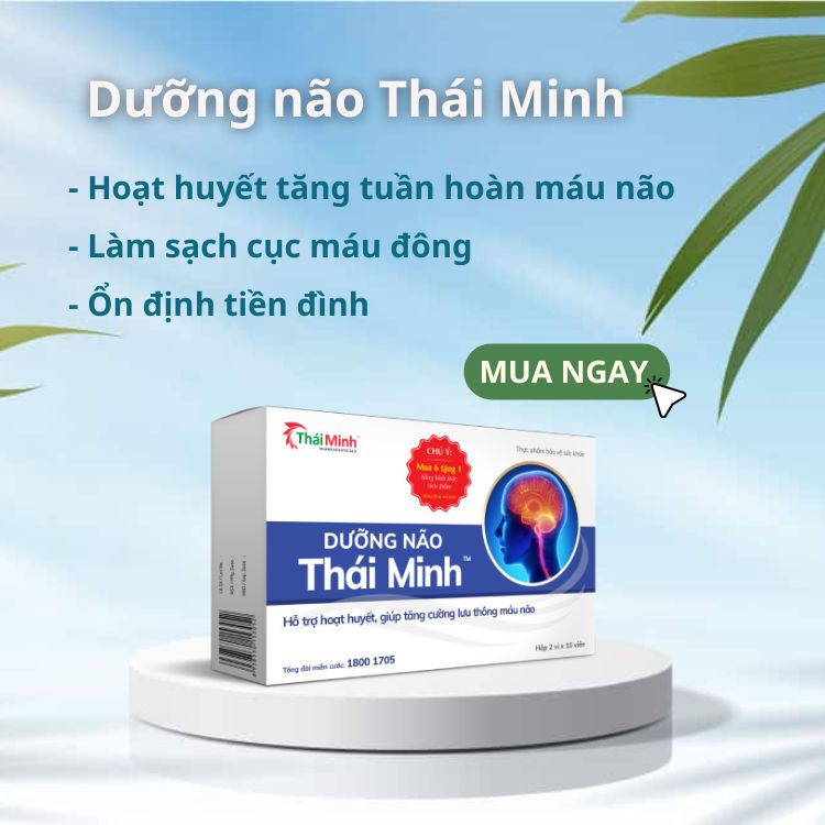 Dưỡng Não Thái Minh - Giải pháp cải thiện thiếu máu não từ thảo dược 1