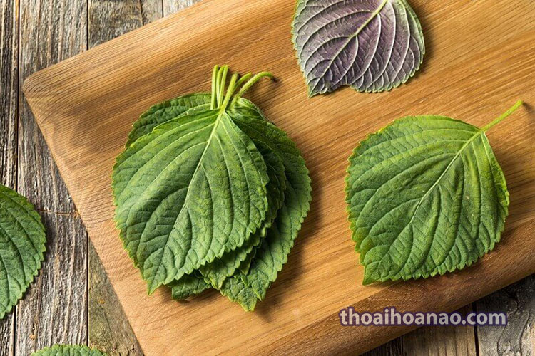 Đau đầu do cảm cúm 1 Đau đầu do cảm cúm 1