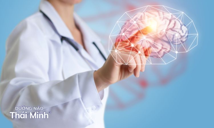 Vai trò của việc bổ sung máu lên não 1 Vai trò của việc bổ sung máu lên não 1