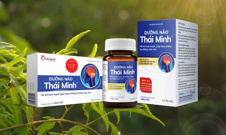 4. Dưỡng Não Thái Minh - Sản phẩm chứa Đinh lăng hỗ trợ điều trị mất ngủ 1