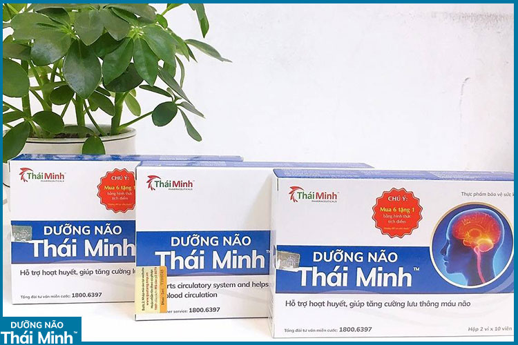 5. Dưỡng Não Thái Minh - Hỗ trợ cải thiện chứng choáng váng, mất thăng bằng 1 5. Dưỡng Não Thái Minh - Hỗ trợ cải thiện chứng choáng váng, mất thăng bằng 1