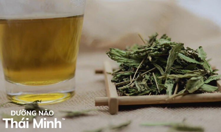 2.1. Uống trà lá Đinh lăng trị mất ngủ 1